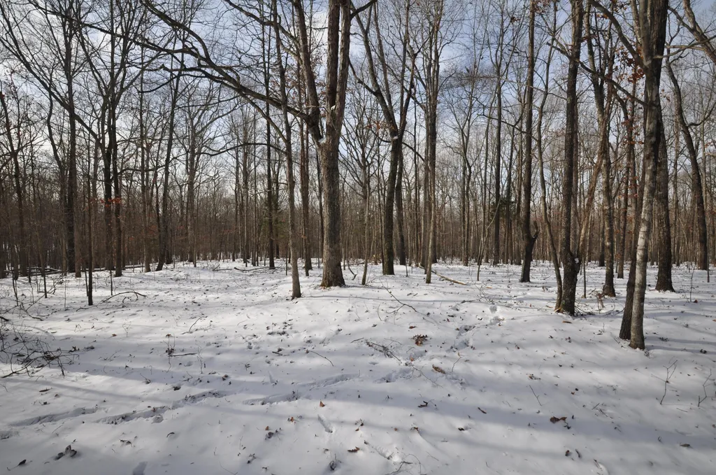 096-D-0002 Beat Farmer Road New Concord KY 42076
