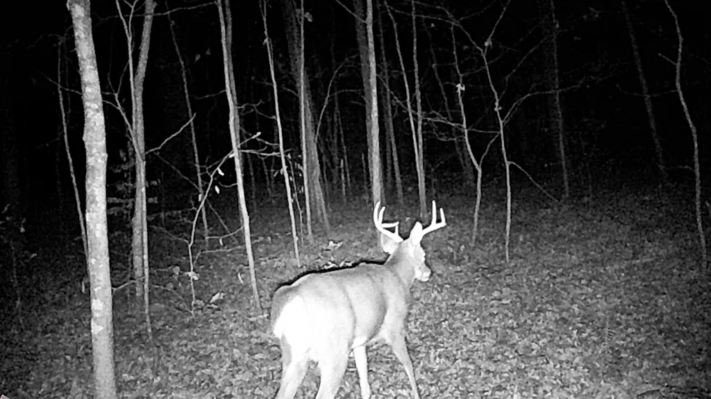 096-D-0002 Beat Farmer Road New Concord KY 42076
