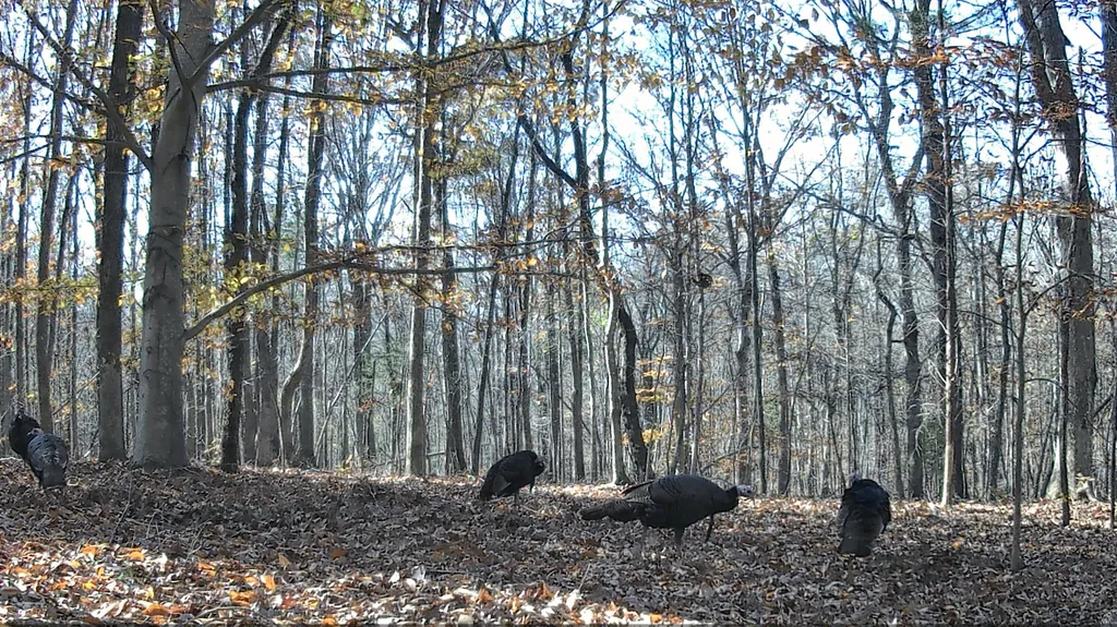 096-D-0002 Beat Farmer Road New Concord KY 42076