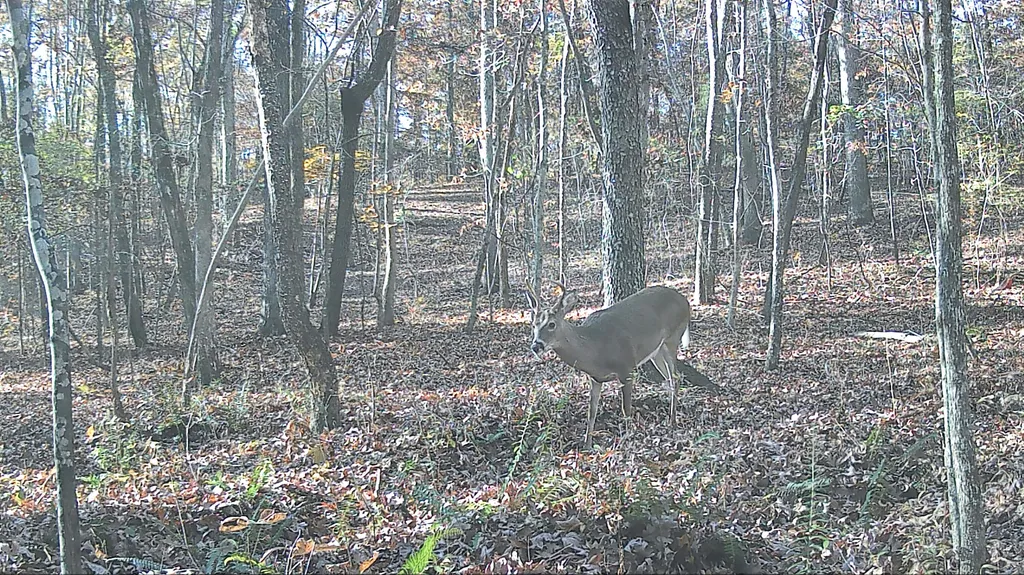 096-D-0002 Beat Farmer Road New Concord KY 42076