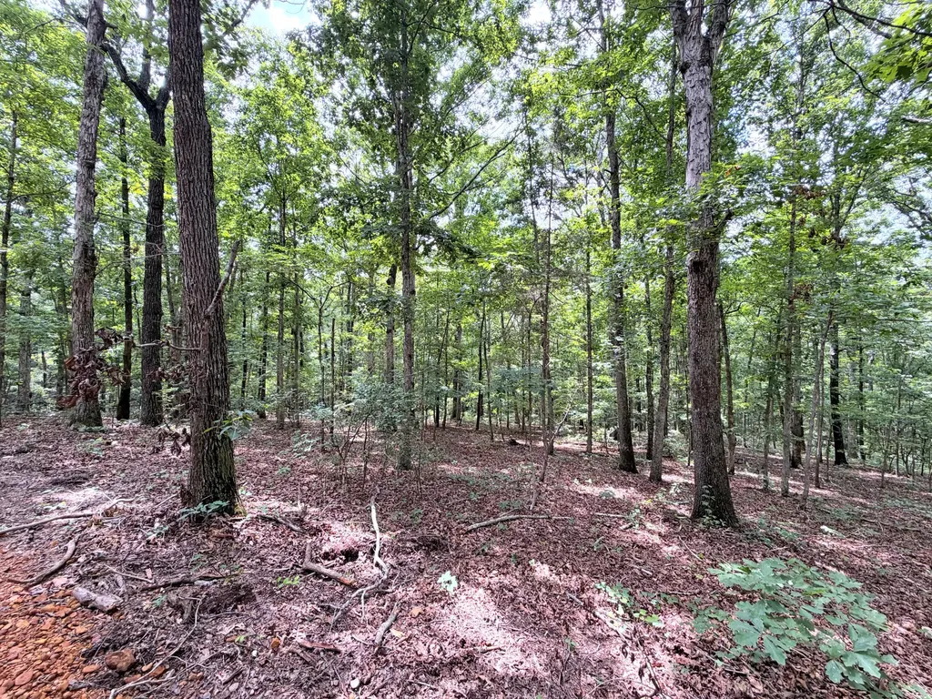 096-D-0002 Beat Farmer Road New Concord KY 42076