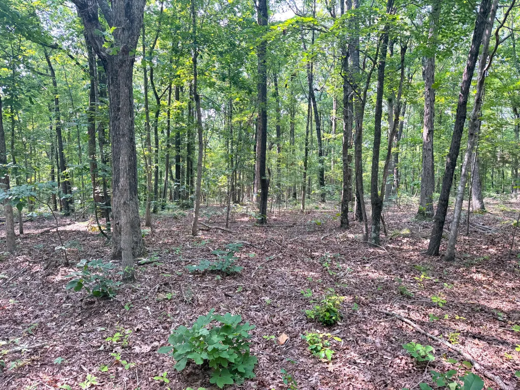 096-D-0002 Beat Farmer Road New Concord KY 42076