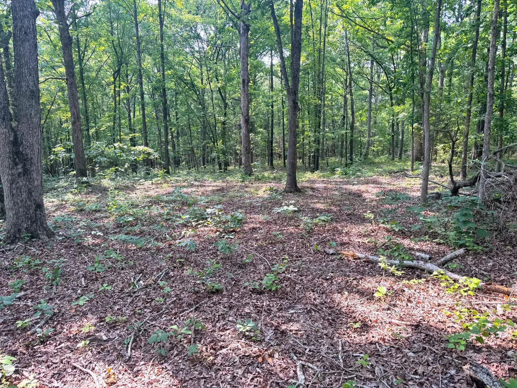 096-D-0002 Beat Farmer Road New Concord KY 42076