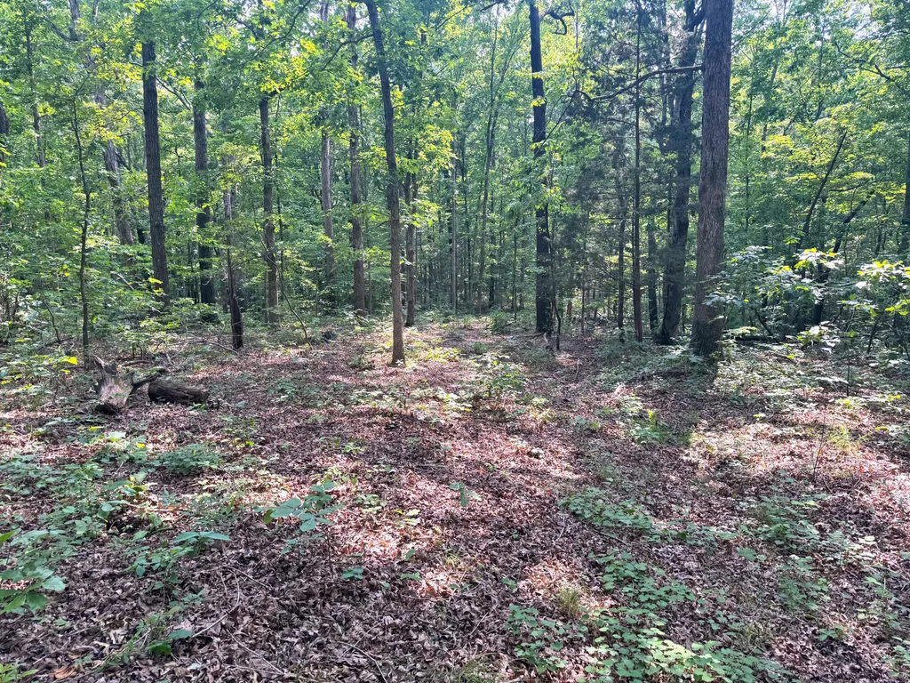 096-D-0002 Beat Farmer Road New Concord KY 42076