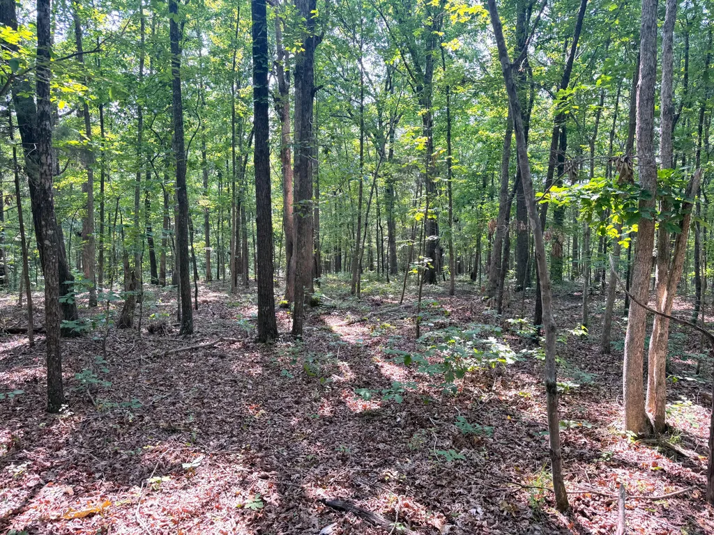 096-D-0002 Beat Farmer Road New Concord KY 42076