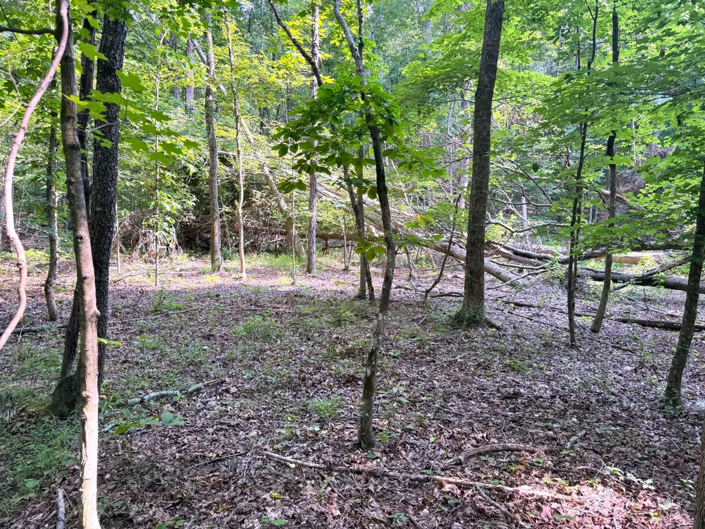 096-D-0002 Beat Farmer Road New Concord KY 42076