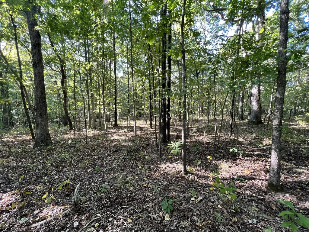 096-D-0002 Beat Farmer Road New Concord KY 42076