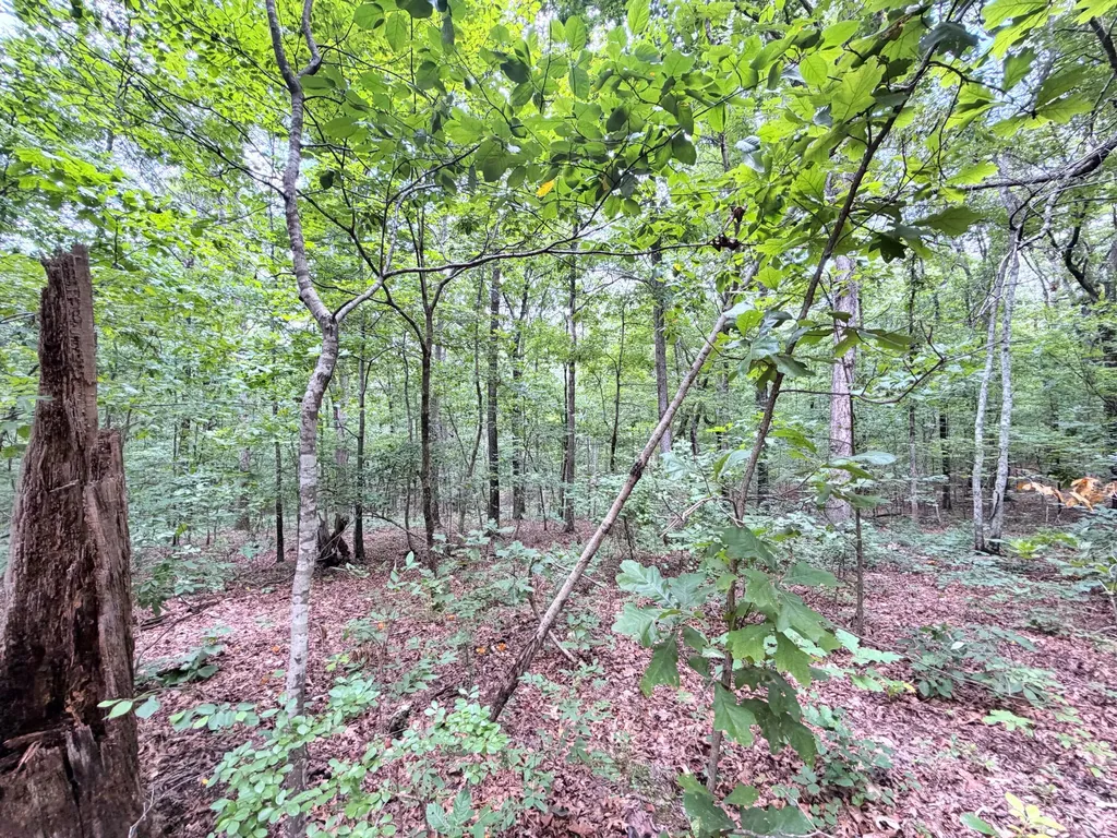 096-D-0002 Beat Farmer Road New Concord KY 42076