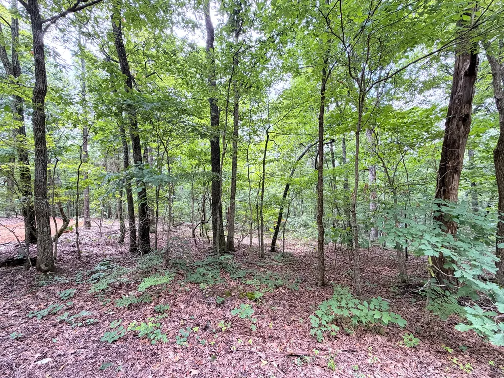 096-D-0002 Beat Farmer Road New Concord KY 42076