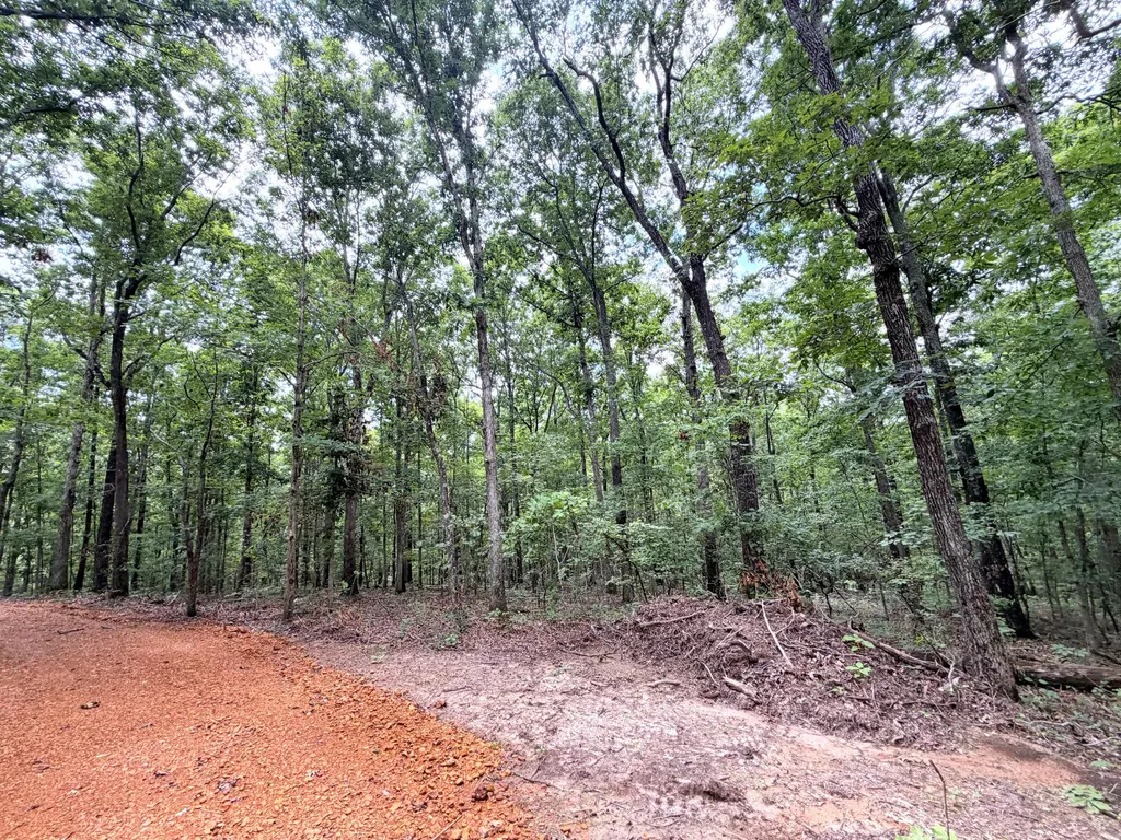 096-D-0002 Beat Farmer Road New Concord KY 42076
