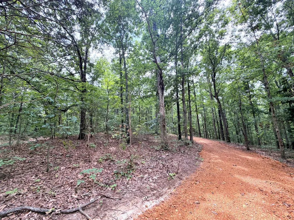 096-D-0002 Beat Farmer Road New Concord KY 42076