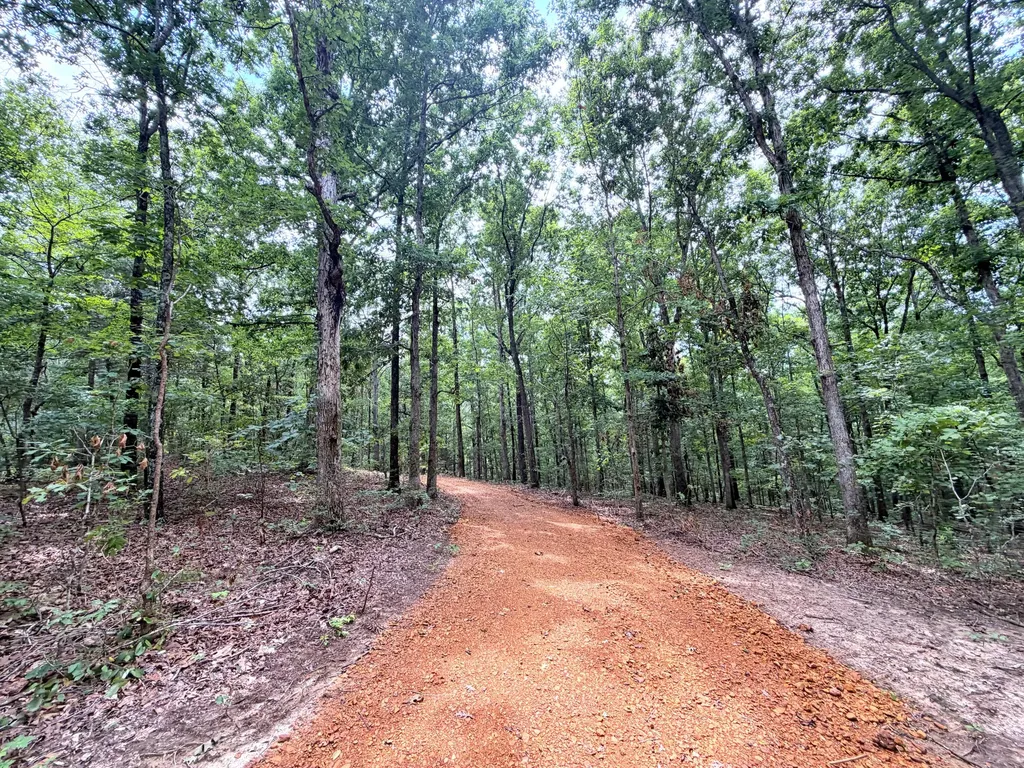 096-D-0002 Beat Farmer Road New Concord KY 42076