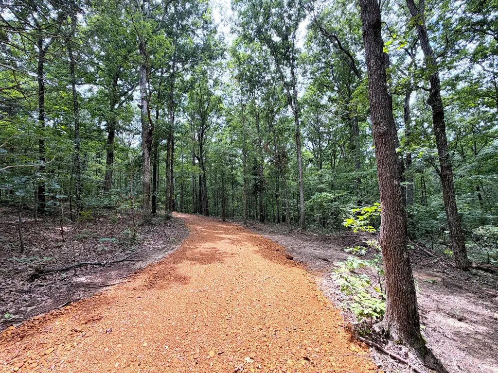096-D-0002 Beat Farmer Road New Concord KY 42076