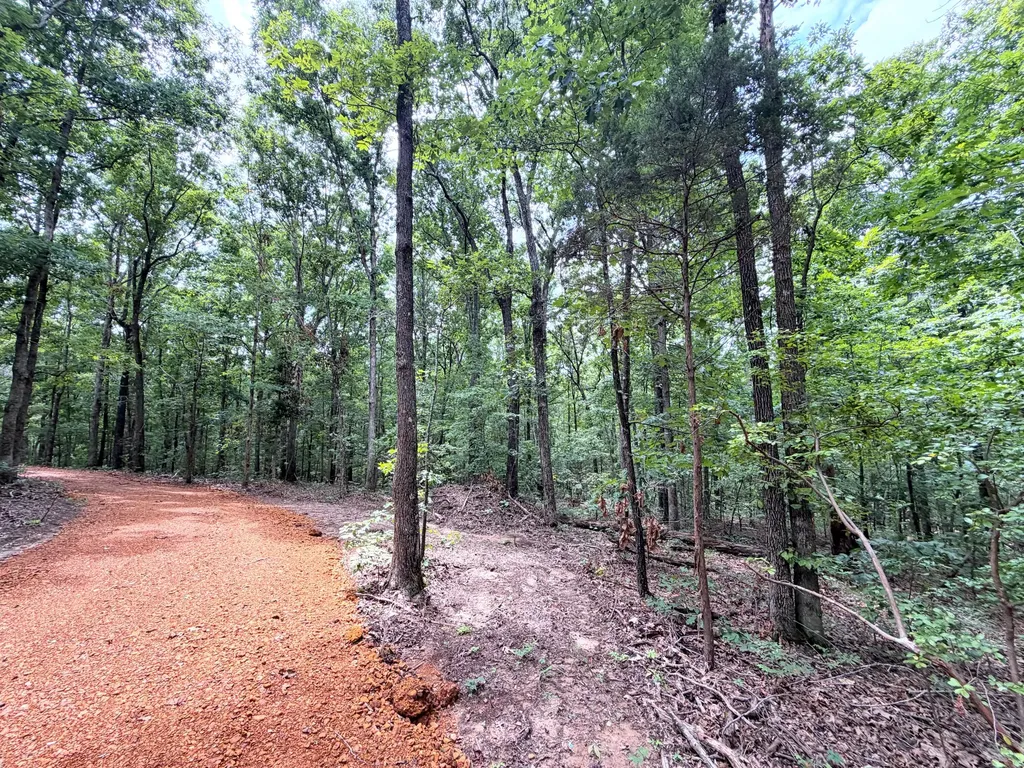 096-D-0002 Beat Farmer Road New Concord KY 42076