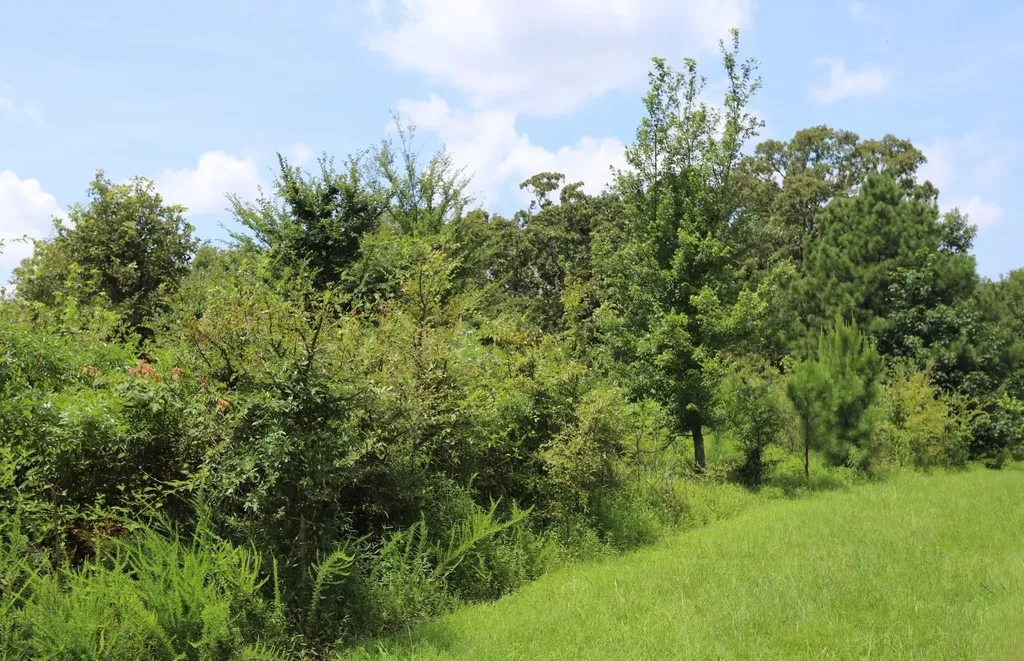 Lot 58 Kirk Ridge Drive Murray KY 42071
