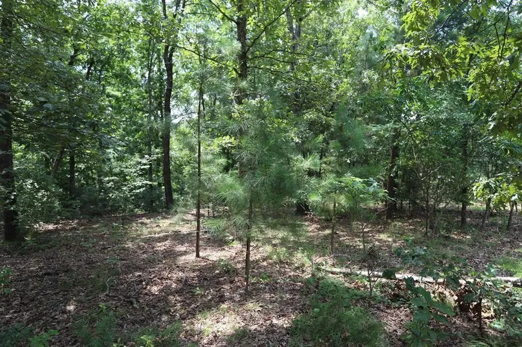 Lot 46 Waterfowl Lane Murray KY 42071