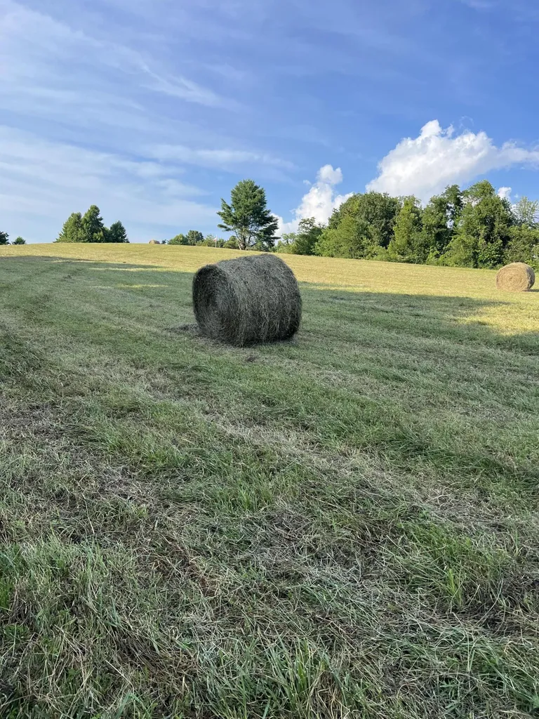 5784 U.s. 421 Mckee KY 40447