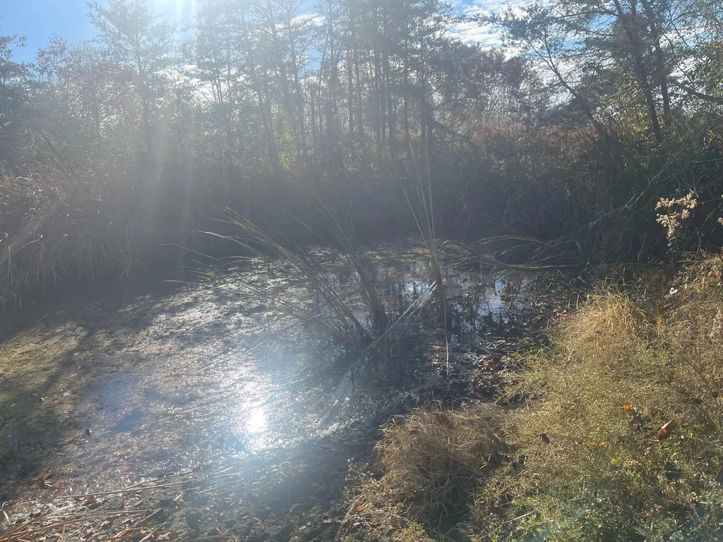 5784 U.s. 421 Mckee KY 40447