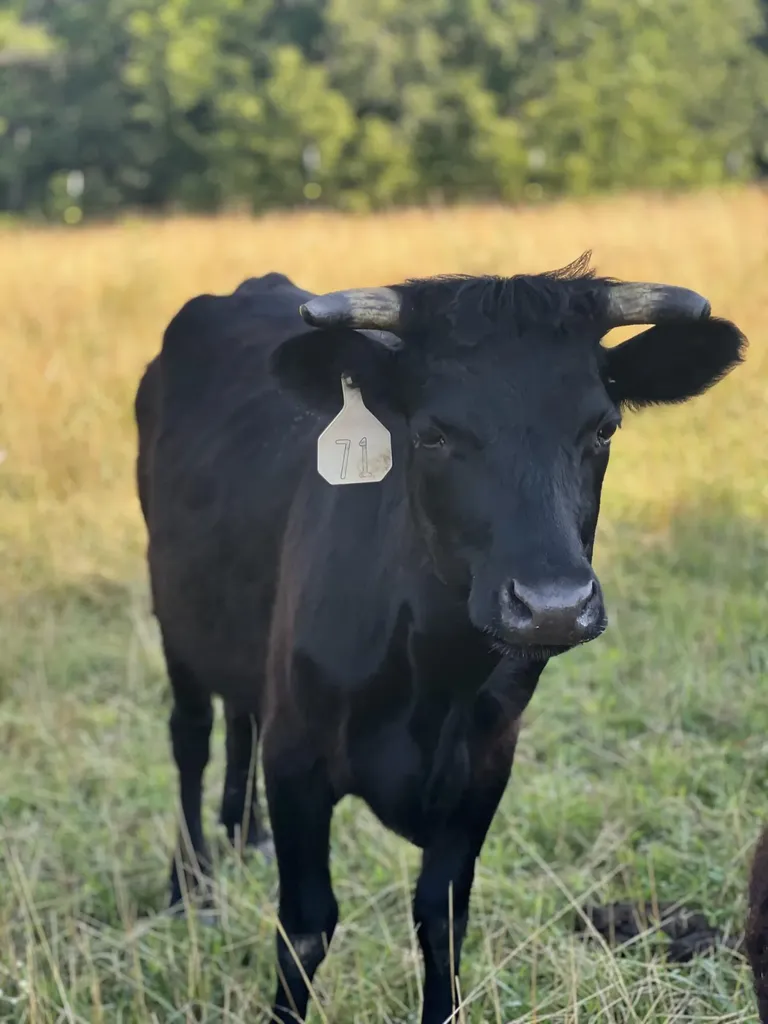 5784 U.s. 421 Mckee KY 40447