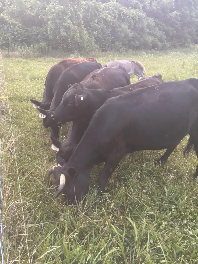 5784 U.s. 421 Mckee KY 40447