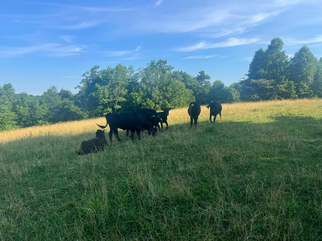 5784 U.s. 421 Mckee KY 40447