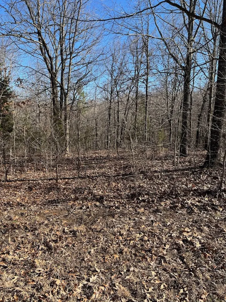 Lot 62 Weekend Lane Murray KY 42071