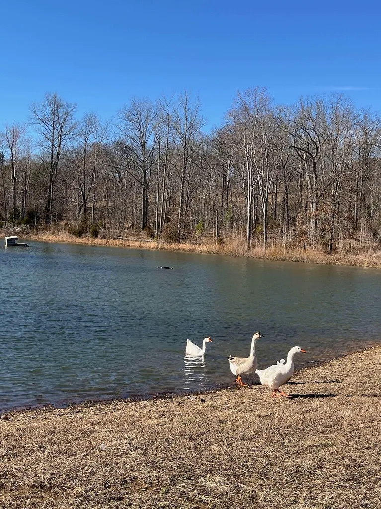 Lot 62 Weekend Lane Murray KY 42071