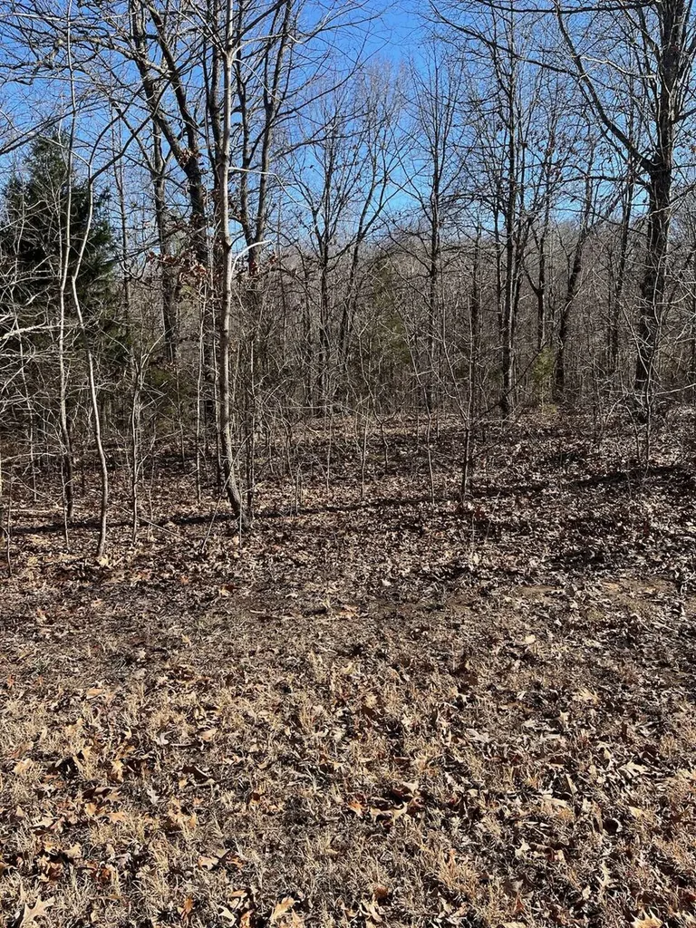 Lot 62 Weekend Lane Murray KY 42071