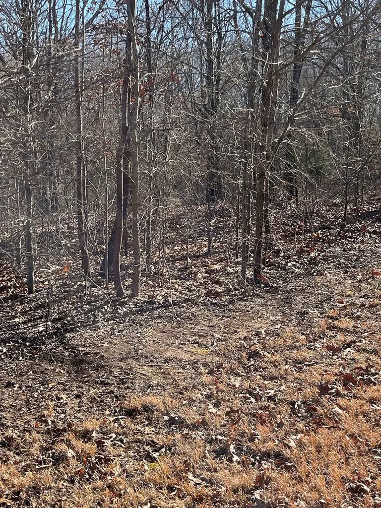 Lot 62 Weekend Lane Murray KY 42071
