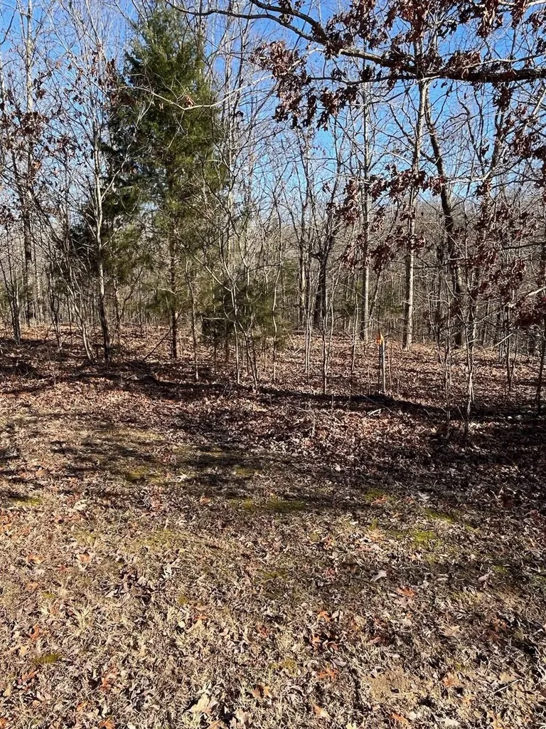 Lot 62 Weekend Lane Murray KY 42071