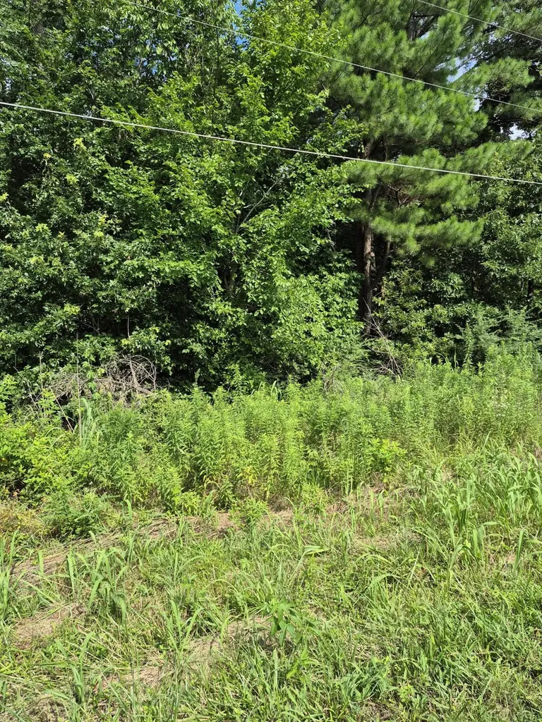 Lot #273 Hawkeye Drive Gilbertsville KY 42044
