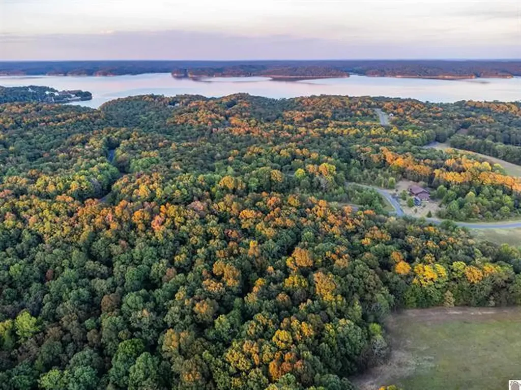 Lot 79b & 80 Waterfowl Road Murray KY 42071