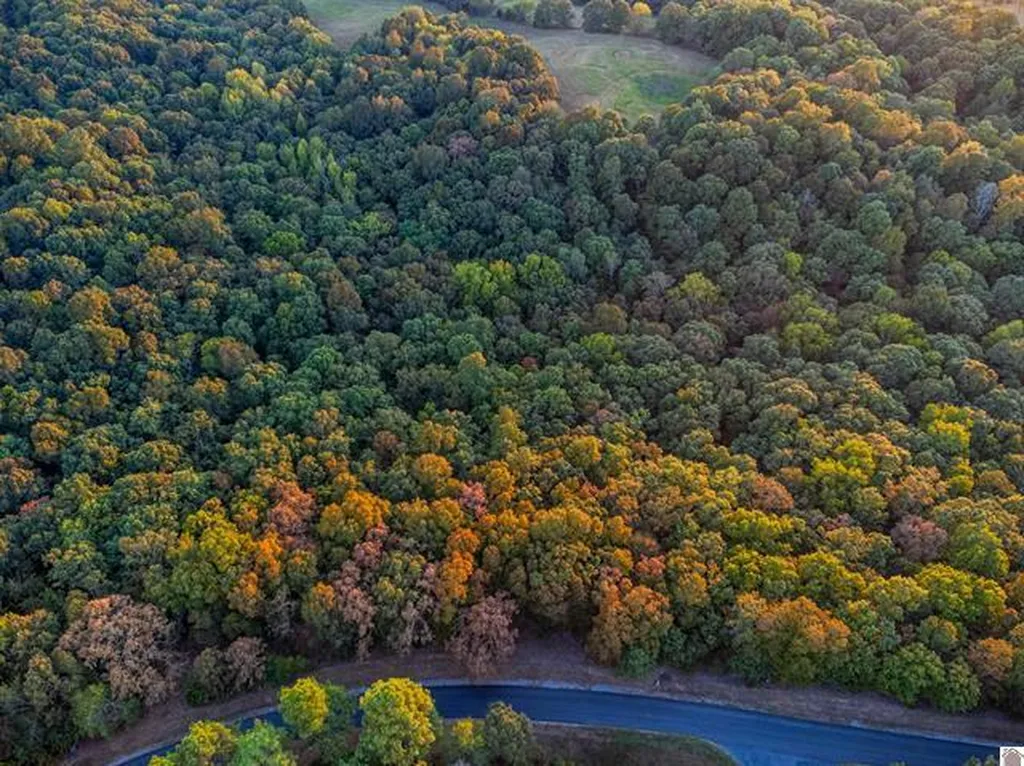 Lot 79b & 80 Waterfowl Road Murray KY 42071