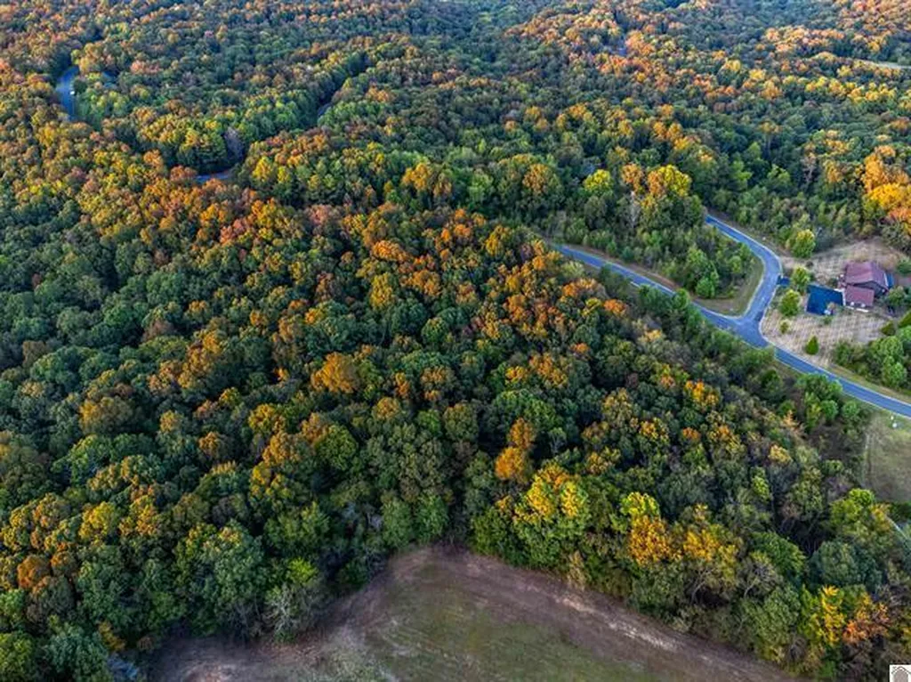 Lot 79b & 80 Waterfowl Road Murray KY 42071
