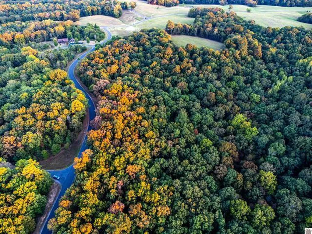 Lot 79b & 80 Waterfowl Road Murray KY 42071