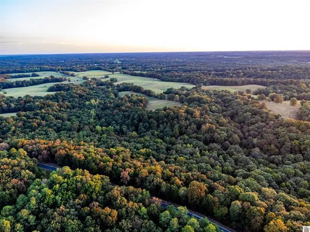 Lot 79b & 80 Waterfowl Road Murray KY 42071