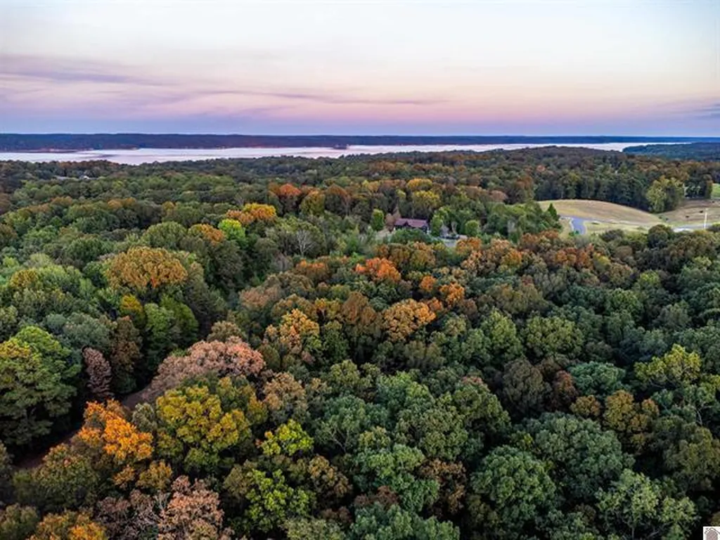 Lot 79b & 80 Waterfowl Road Murray KY 42071