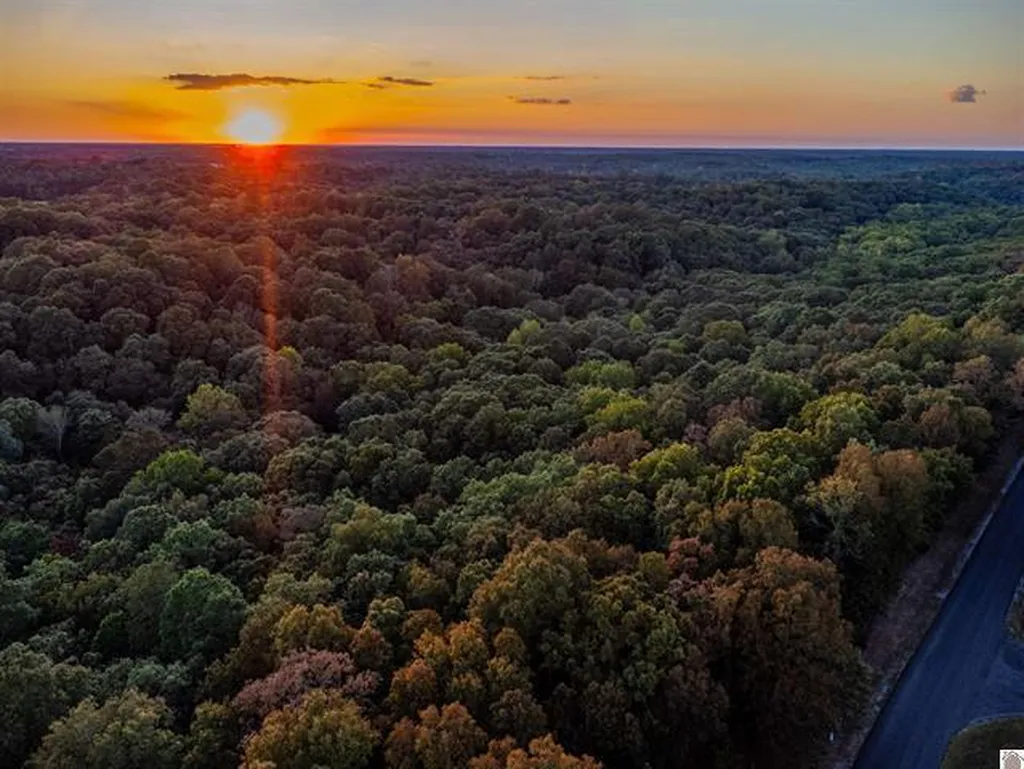 Lot 79b & 80 Waterfowl Road Murray KY 42071