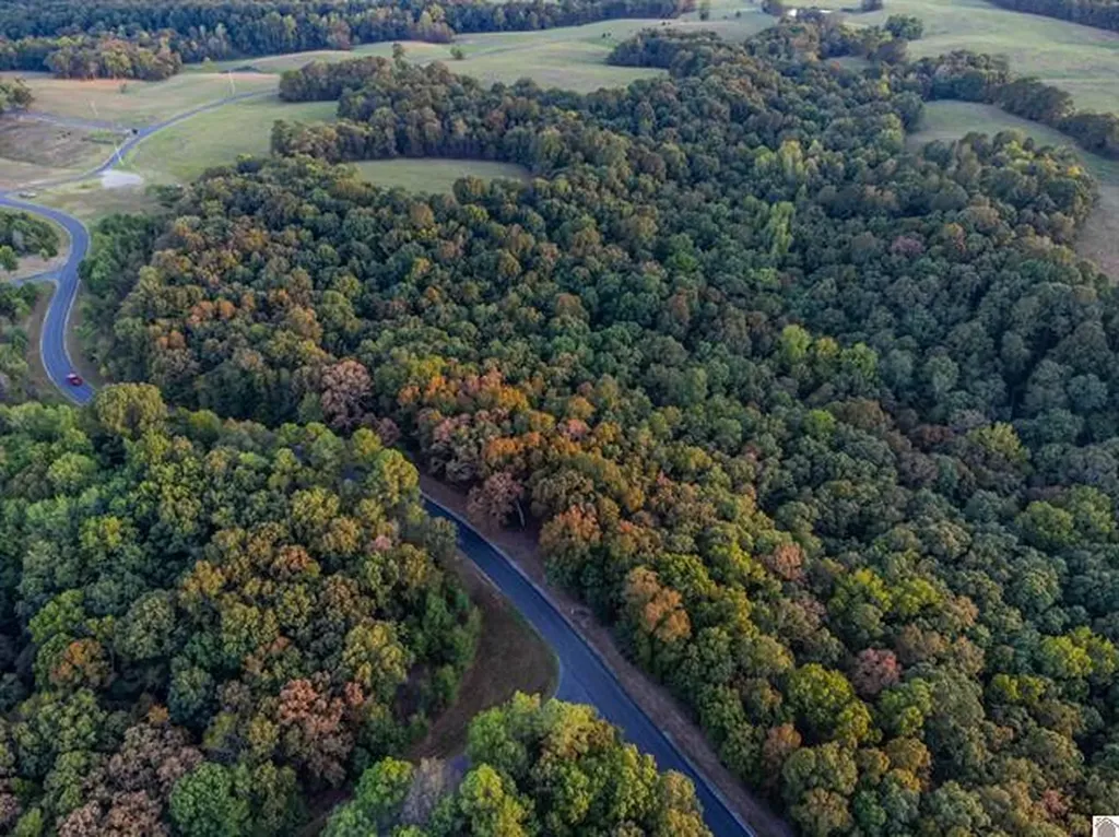 Lot 79b & 80 Waterfowl Road Murray KY 42071