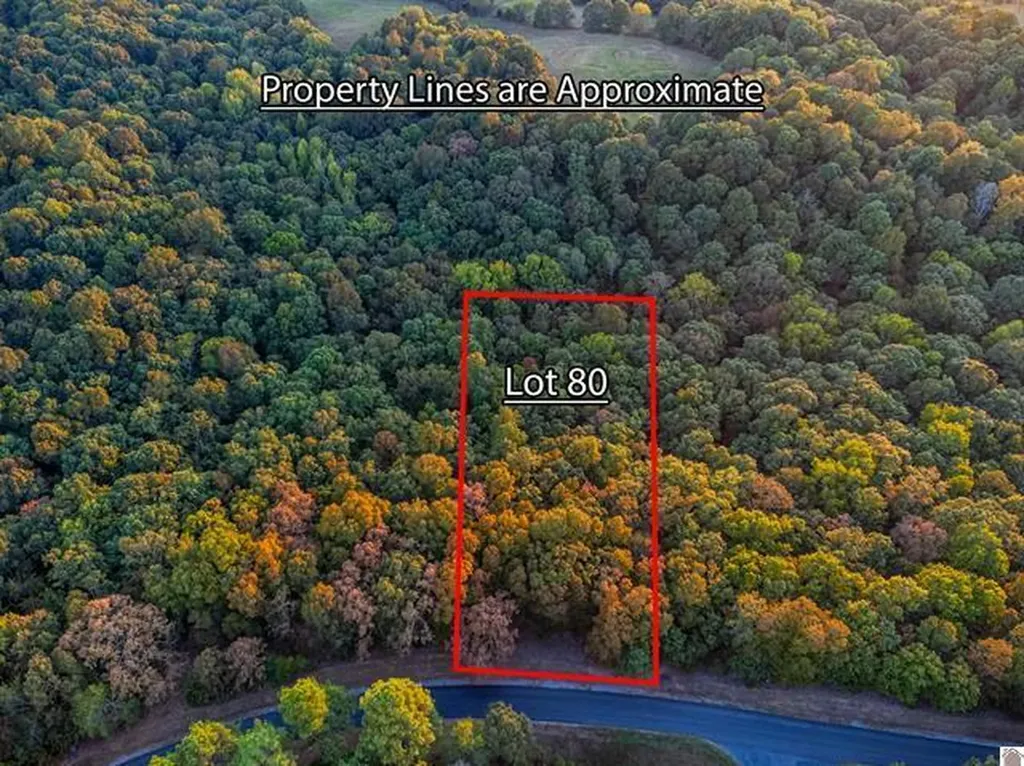 Lot 79b & 80 Waterfowl Road Murray KY 42071