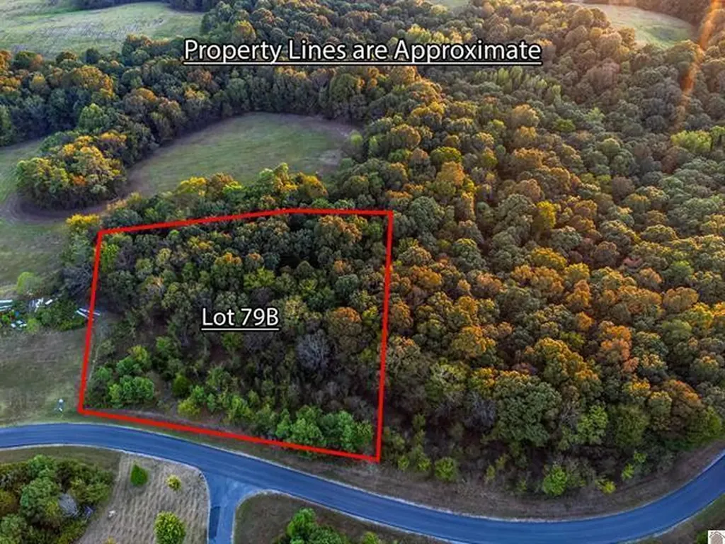 Lot 79b & 80 Waterfowl Road Murray KY 42071