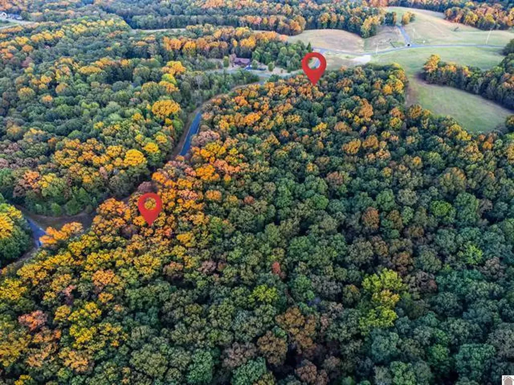 Lot 79b & 80 Waterfowl Road Murray KY 42071