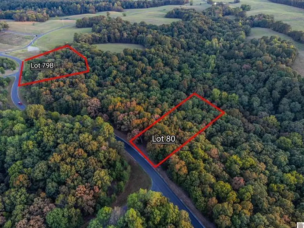 Lot 79b & 80 Waterfowl Road Murray KY 42071