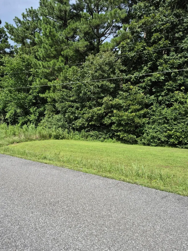 297 Southwood Drive Gilbertsville KY 42044