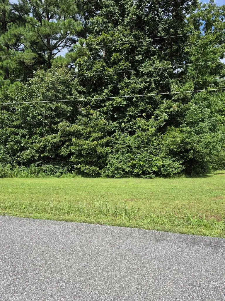 298 Southwood Drive Gilbertsville KY 42044