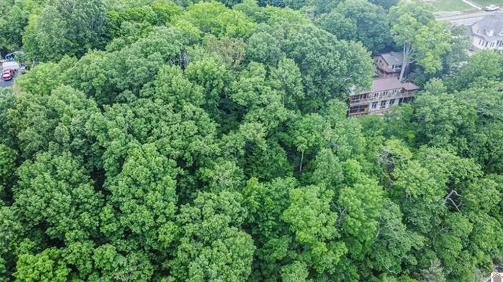 Lot 6 & 7 Deer Run Road Eddyville KY 42038