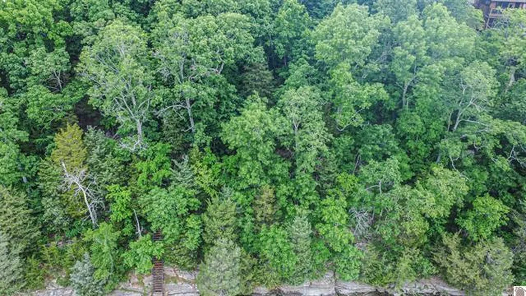 Lot 6 & 7 Deer Run Road Eddyville KY 42038