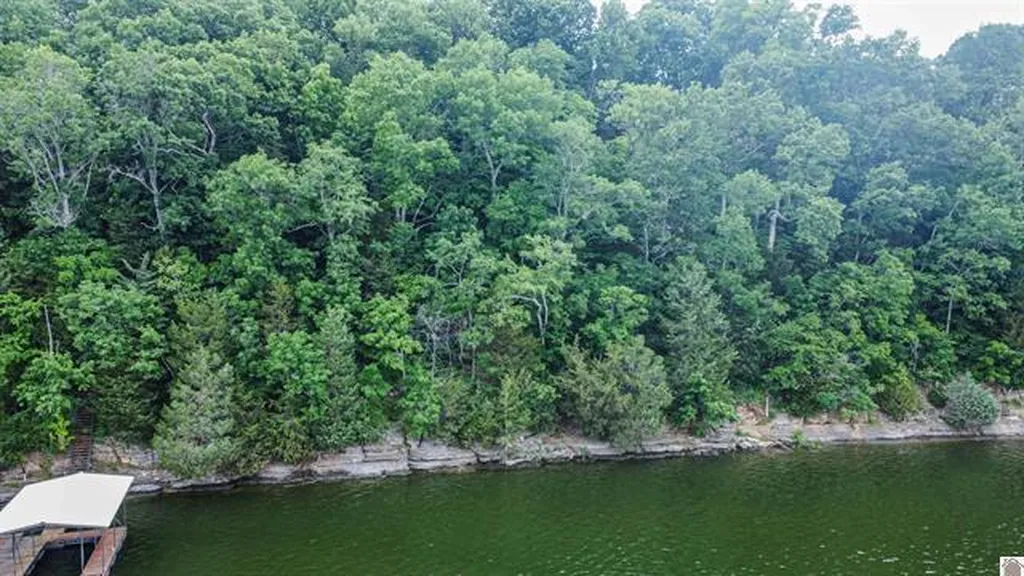 Lot 6 & 7 Deer Run Road Eddyville KY 42038