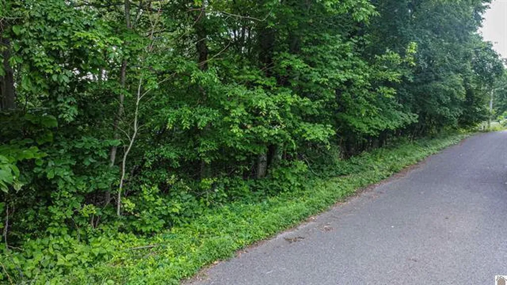 Lot 6 & 7 Deer Run Road Eddyville KY 42038