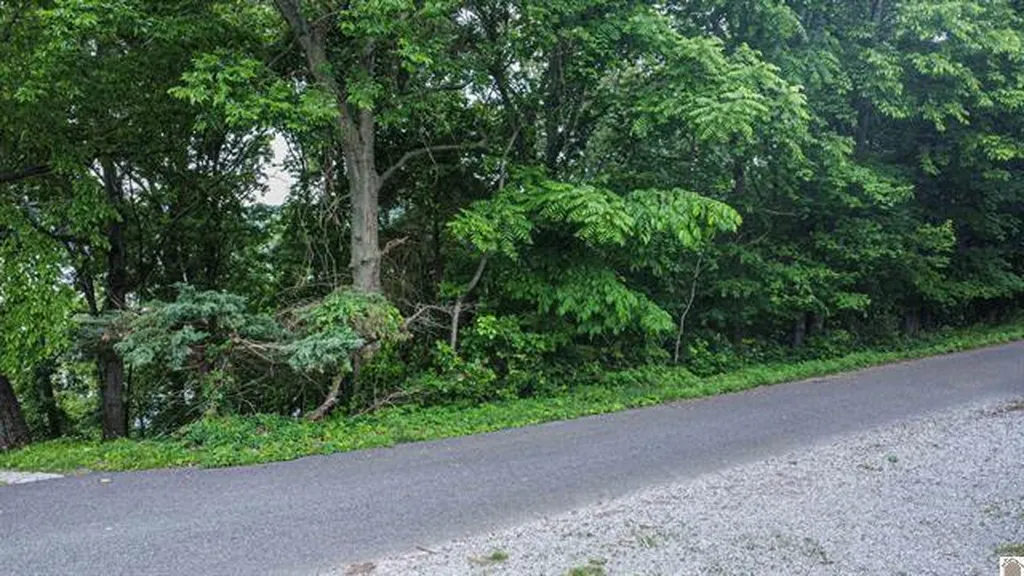 Lot 6 & 7 Deer Run Road Eddyville KY 42038